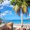 Nicole's Beach Bar