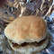 Stan's Biscuit Shop and Deli
