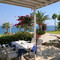 Kalymnos Fish Tavern