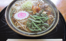 Ginsen Chaya