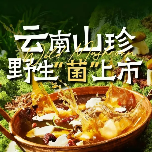 鲁小玉贵州酸汤火锅