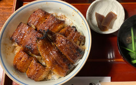 Tsujiya