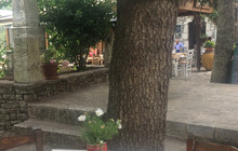 Taverna O Tholos餐厅图片