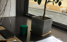 Cafe Pokrok餐厅图片