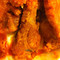 Dyers Deli & Dairy Delight