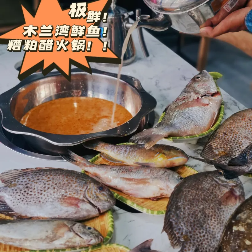 铺前木兰湾鲜鱼糟粕醋火锅