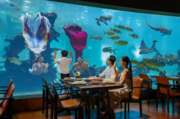 三亚海棠湾洲际度假酒店·涛·海底餐厅