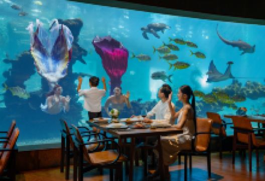 三亚海棠湾洲际度假酒店·涛·海底餐厅美食图片