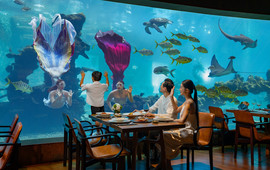 三亚海棠湾洲际度假酒店·涛·海底餐厅