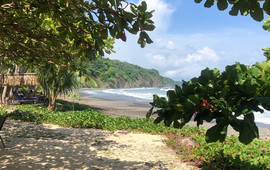 Los Cocos Restaurant