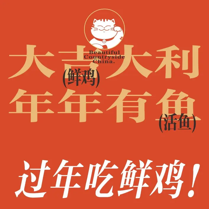 佬肥猫江浙菜(乐颂坊精致生活广场店)