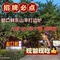 懿口鲜东山羊肉火锅千古情店