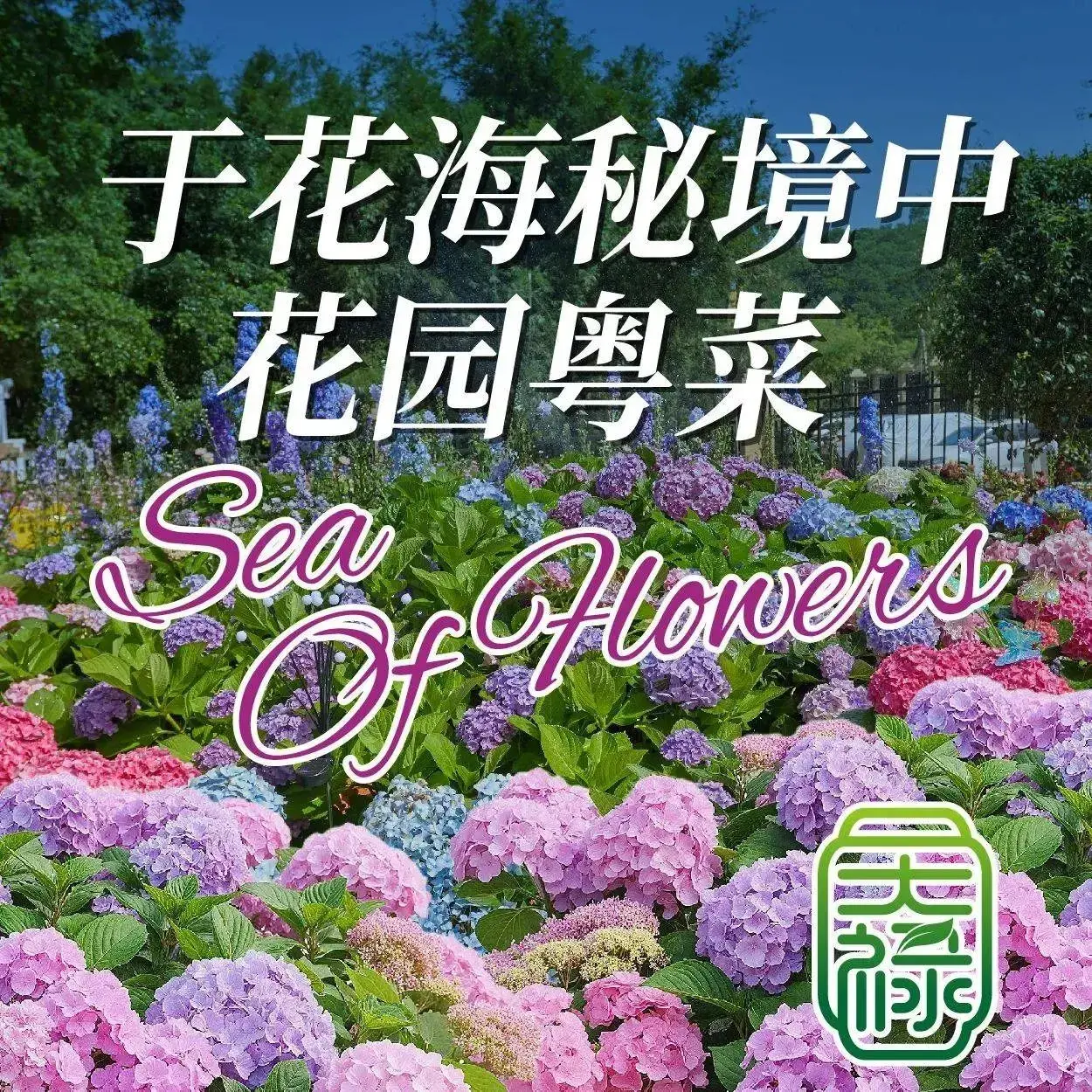 天禄生态酒家