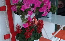 Ola Meli Gala餐厅图片