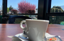 Le Petit Bistro Lihnidos餐厅图片