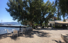 Faros Taverna餐厅图片