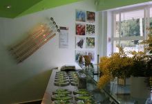 Gelateria Ciocolat美食图片