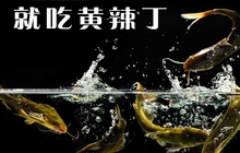 河里渔(阜宁直营店)餐厅图片