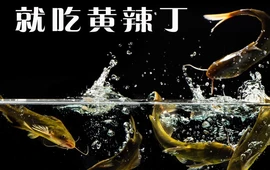 河里渔(阜宁直营店)