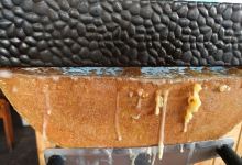 Potetoinpapa美食图片