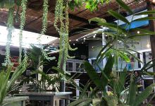 Paia Bay Coffee Bar美食图片