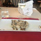 Ristorante Pizzeria La Parentesi