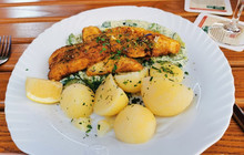 Zum Wenigemarkt 13餐厅图片