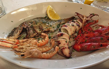 Trattoria Marco Polo餐厅图片