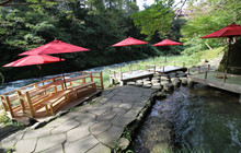 鶴仙渓 川床餐厅图片
