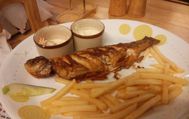 Troutbeat