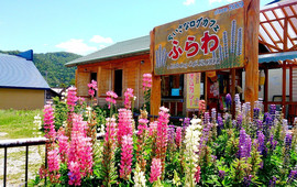 Furawa
