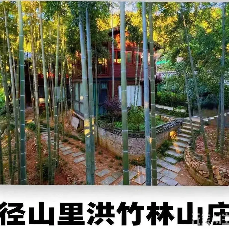 里洪竹林山庄(径山村店)美食图片