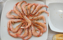 Restaurante Paca餐厅图片