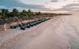 Passions on the Beach