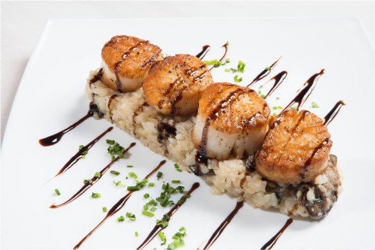 Blackwall Hitch Annapolis