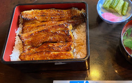 Unagi-no-unafuji