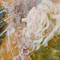 Janjan Ramen Sohonten