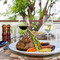 Poinciana Restaurant