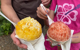 Waikomo Shave Ice