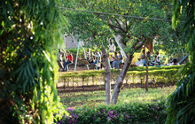 Uhuru Park Garden餐厅图片