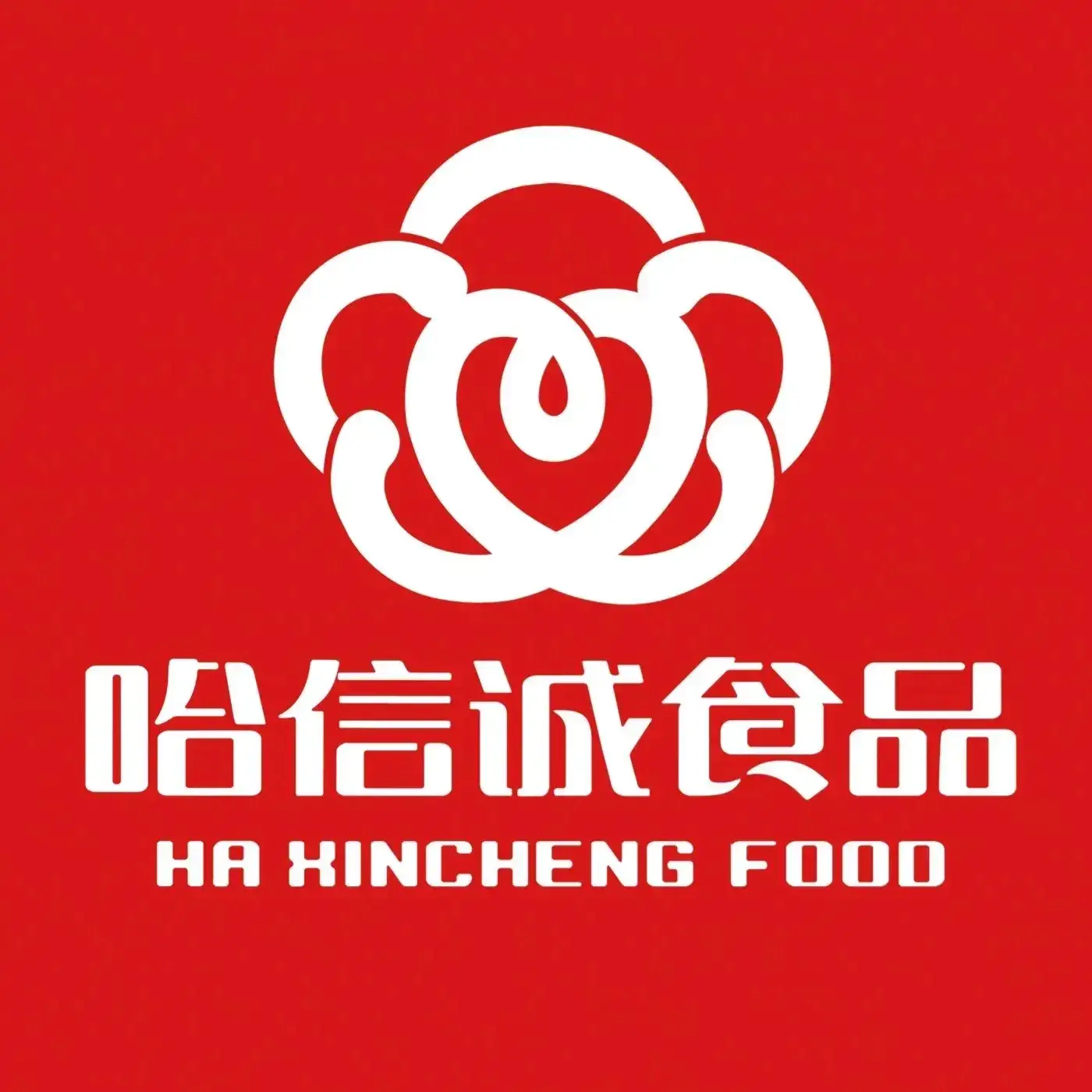 哈信诚食品(安通店)