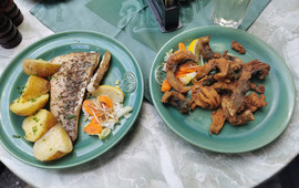 Restaurace U Misku