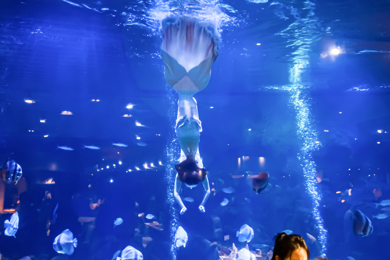 三亚亚龙湾迎宾馆·海洋主题海蓝餐厅