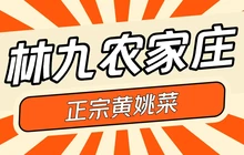 林九农家庄餐厅图片