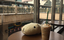 Starbucks Coffee Fuchu Kururu餐厅图片