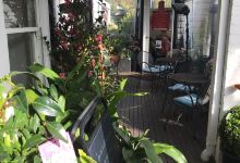 Bay Road Nursery购物图片