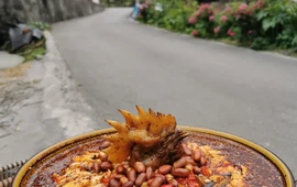 苍龙聚缘休闲山庄