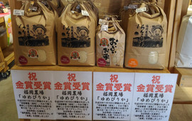 Machi No Chaya