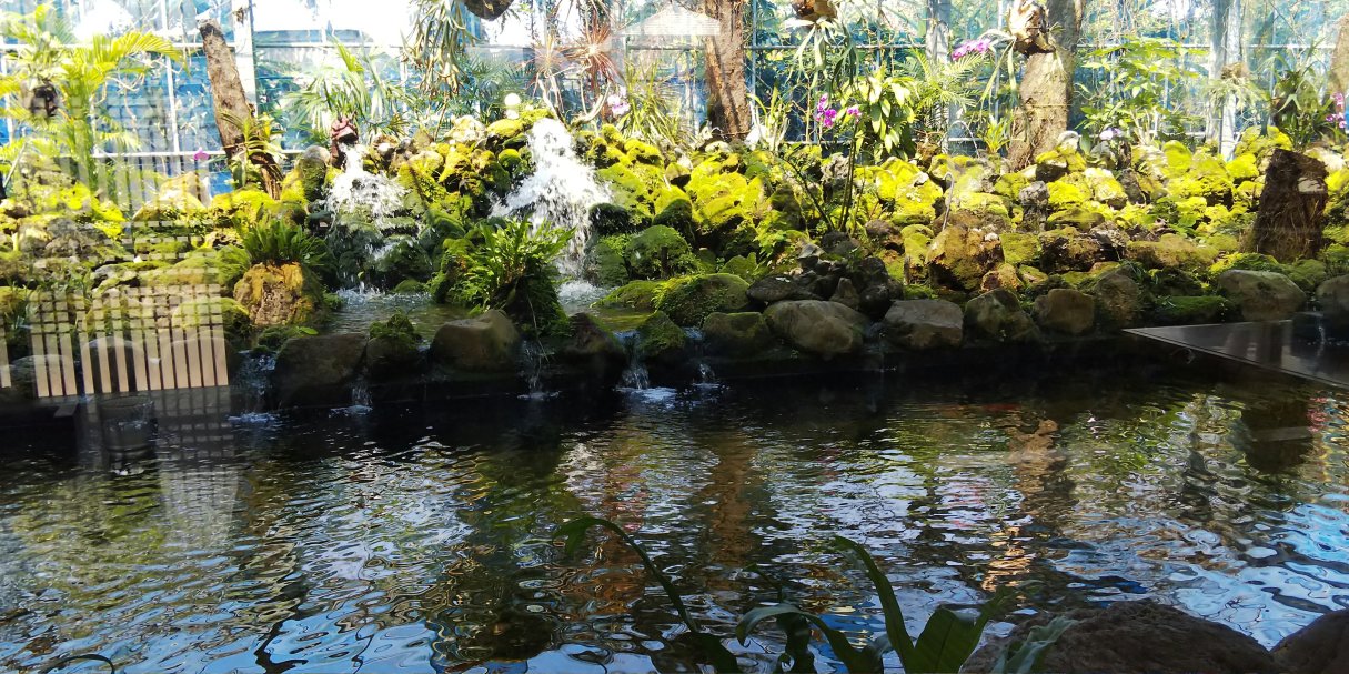 Yamabiko Koiya
