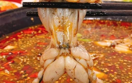 随缘鱼庄